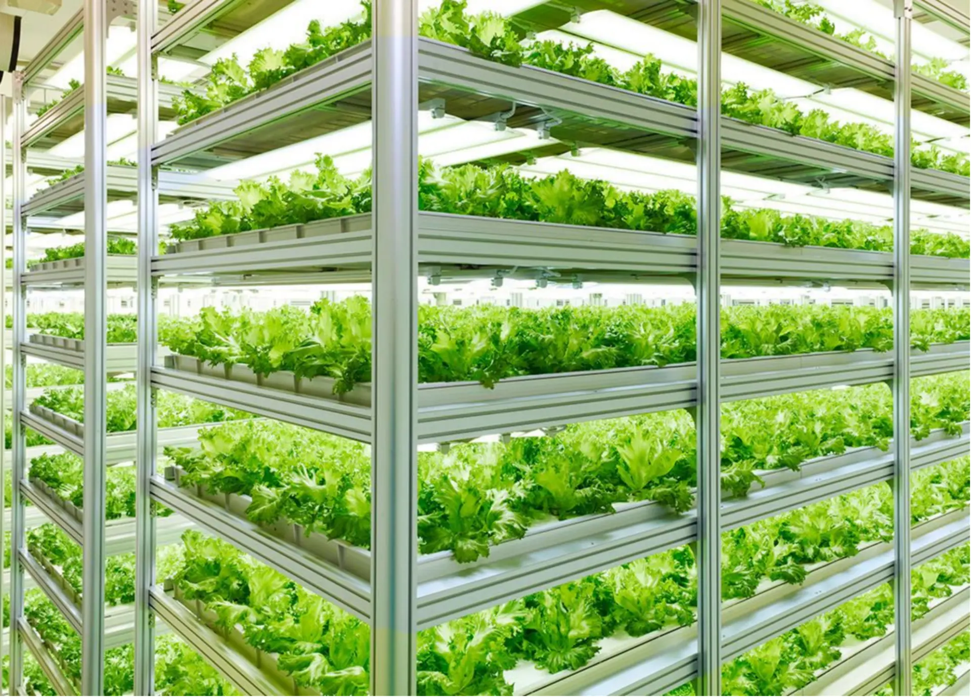 植物工厂整体解决方案